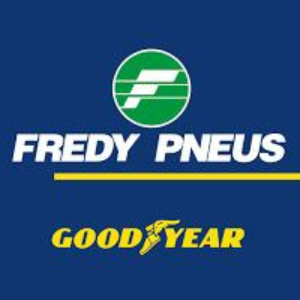 Imagem de FREDI PNEUS LTDA