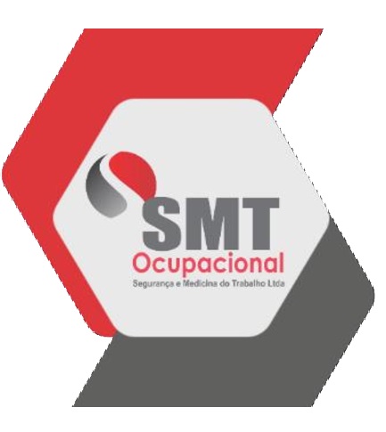 Imagem de SMT - SERVICOS DE ESCRITORIO E APOIO ADMINISTRATIVO LTDA
